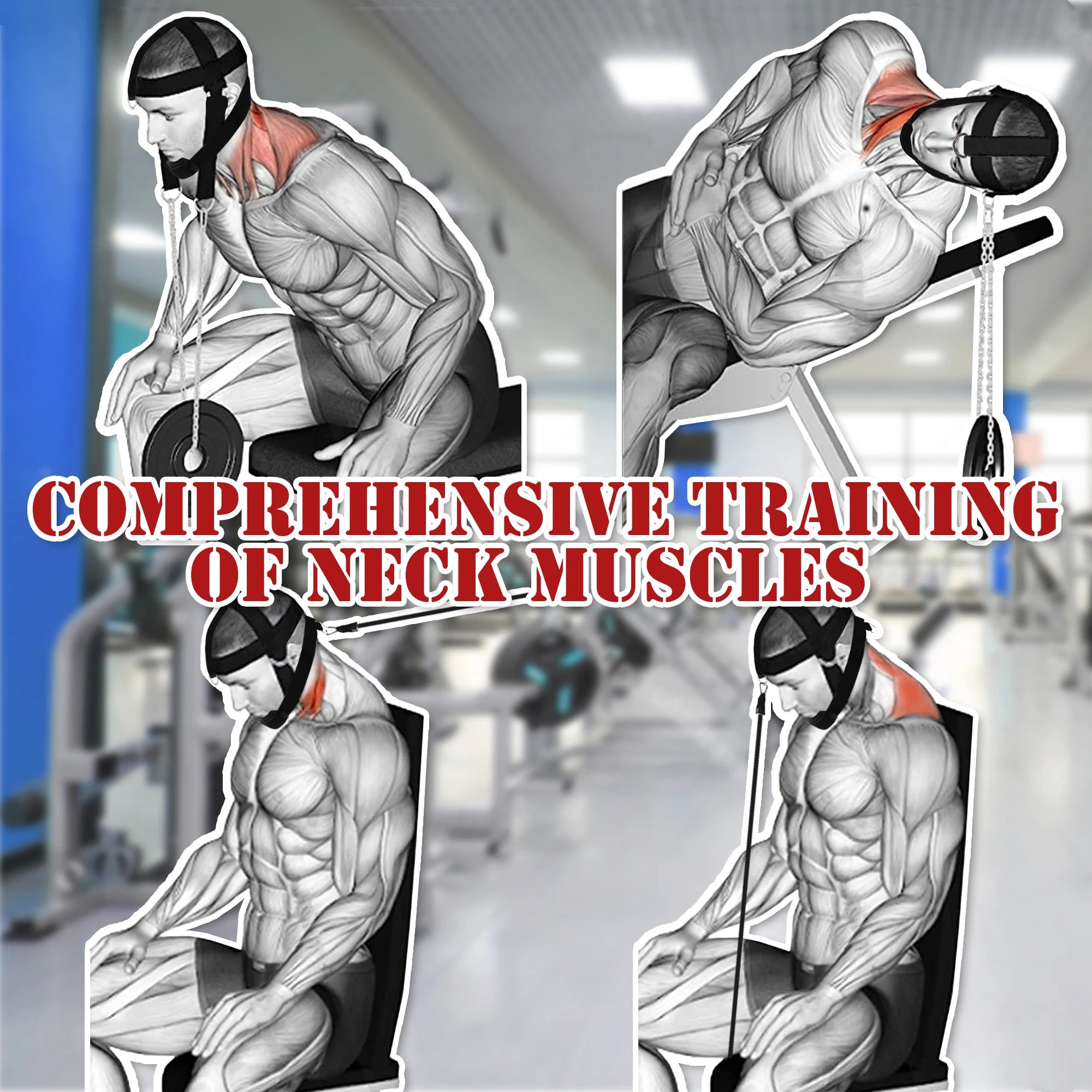 Multifunction Neck Workout Head Harness